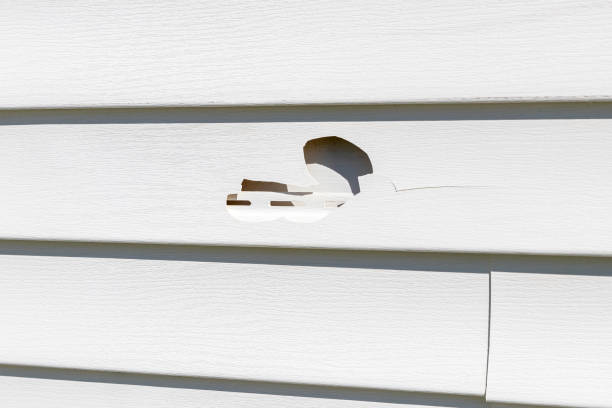 Demolition Debris Removal in Moses Lake, WA
